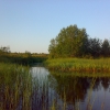 Озеро Лача, Архангельская область