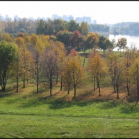 Щукинский полуостров, Москва