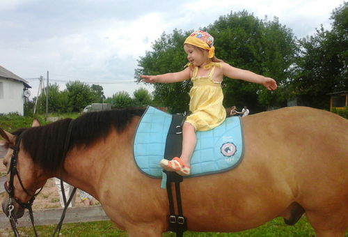 Верховая езда для детей во Владимирской области